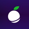 Purpleplum logo