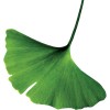 Bowergroupasia