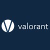 Valorant logo