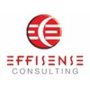 Effisense Consulting logo