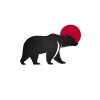 Bear Systems logo