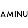 Aminus3