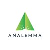 Analemma Group logo