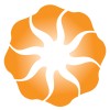 Arise Investments and Capital logo