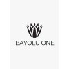 Bayolu One Investments logo
