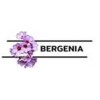 Bergenia Consultancy Services Pvt Ltd logo