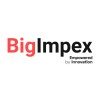 BigImpex logo