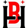 Blueheaven software india private limited logo