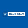 BLUE STAR ENGINEERING & ELECTRONICS logo