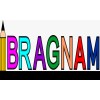Bragnam Learning Pvt Ltd. logo