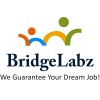BridgeLabz logo