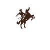 Buckaroo India logo
