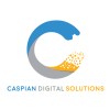 Caspian Digital Solutions logo