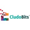 CludoBits IT Solutions Pvt Ltd