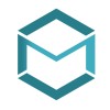 CodeMax IT Solutions Pvt. Ltd. logo