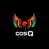 COSQ NETWORK