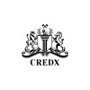 credXperts logo