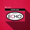 Echo India Managed Services Pvt. Ltd.