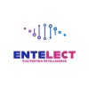 Entelect Techsol LLP