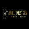 Evolet Infosystem logo