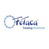 FeTaca logo