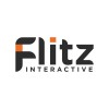 FLITZ INTERACTIVE