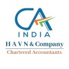 H A V N & COMPANY logo