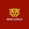 HNS Gold Private Limited logo