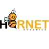HORNET DYNAMICS PRIVATE LIMITED logo