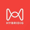 Hybridig Marketing Solutions logo