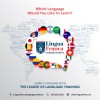 lingua franca language academy, indore logo