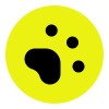 lowerplane logo