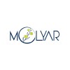 Molyar logo