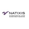 Natixis Services logo