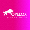 OpelOx Media And Marketing logo