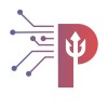 PASHUPATASTRA SOLUTIONS logo