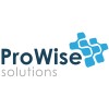 Prowise Solutions Inc logo