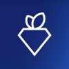 Rare Carat logo