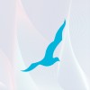 Seagull Advertising logo