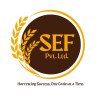 Shah Enterprises