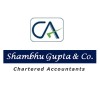 SHAMBHU GUPTA & CO logo