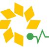 SOLAR PULSE logo