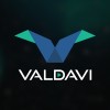 Valdavi logo