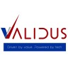 Validus Fintech Services Pvt Ltd logo