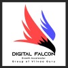 VGDIGITAL FALCON logo