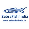 Zebrafish India Research Solutions logo