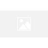 Credavenue Securities logo