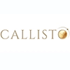 Callisto Talent Solutions