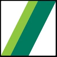 Schwing Stetter (India) Private Limited logo