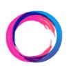 Software Co